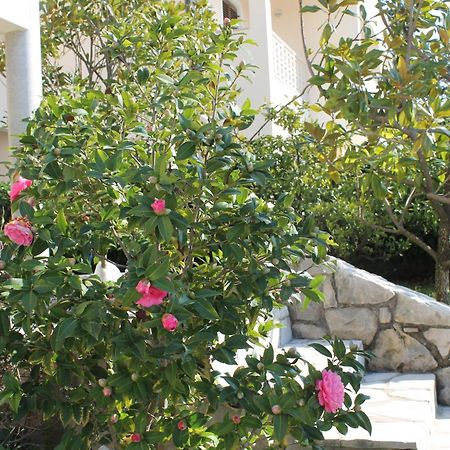 Apartments Vila Marica Rabac Exterior photo