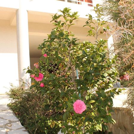 Apartments Vila Marica Rabac Exterior photo