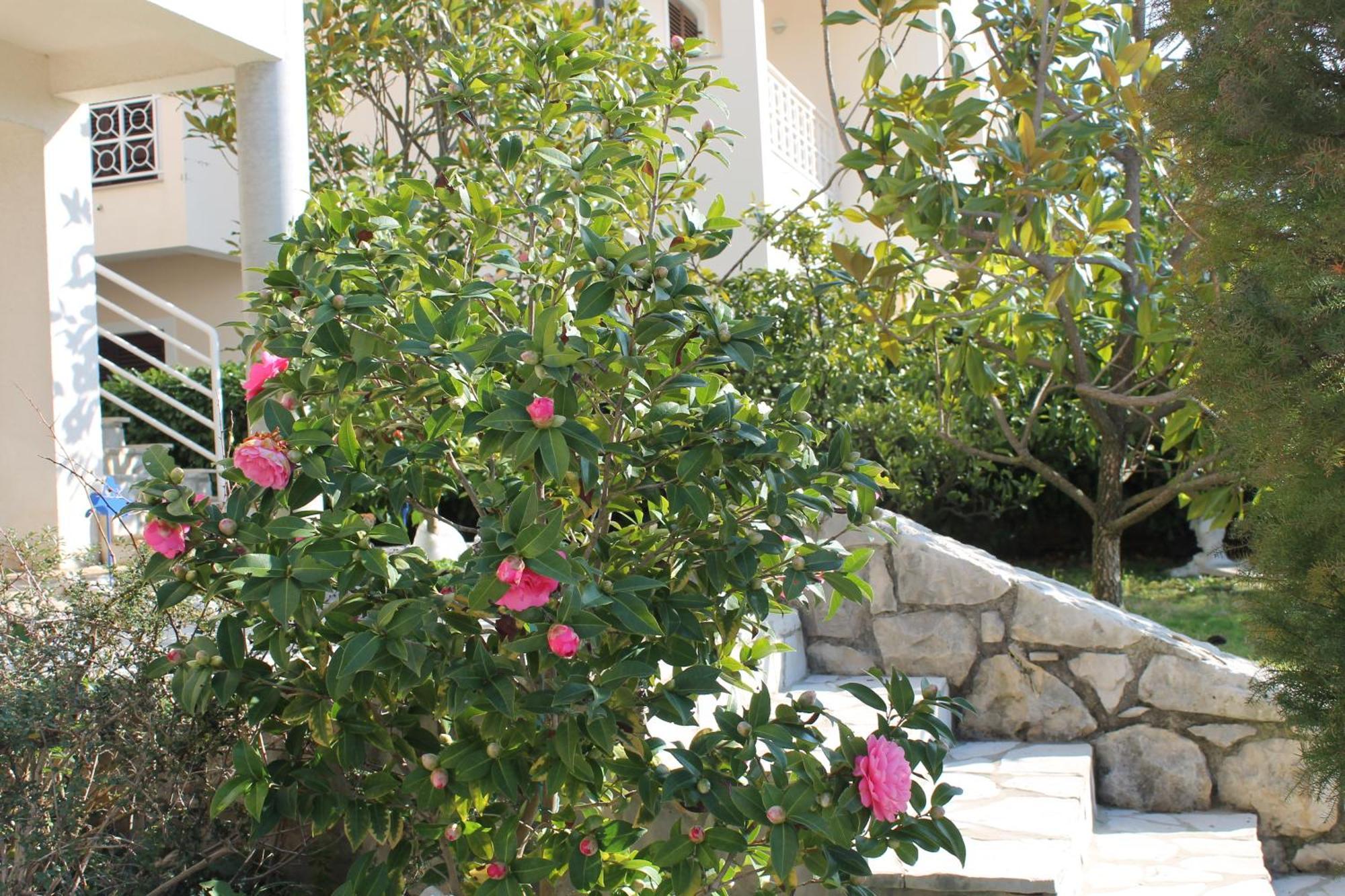 Apartments Vila Marica Rabac Exterior photo