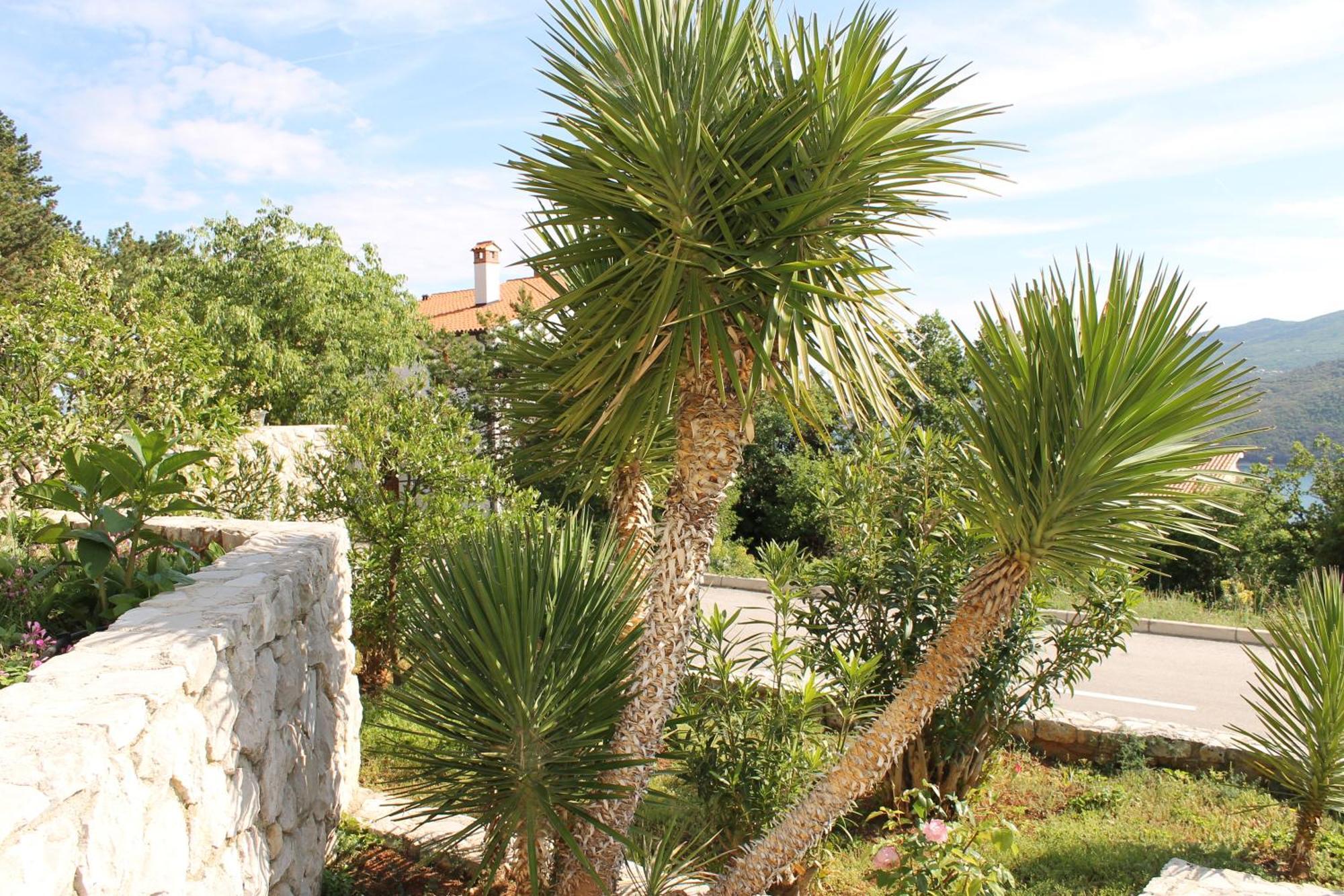 Apartments Vila Marica Rabac Exterior photo
